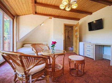 apartament Hotel Łaziska