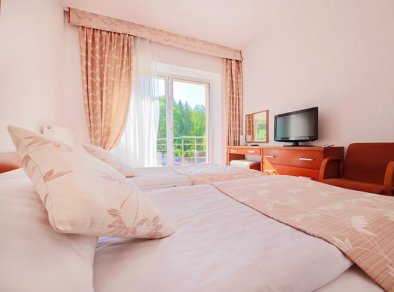 pokój gościnny Hotel Łaziska