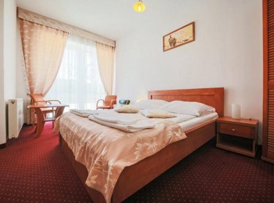 Pokój 2-osobowy Hotel Łaziska