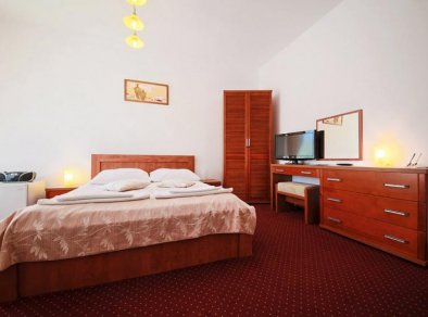 pokój gościnny Hotel Łaziska