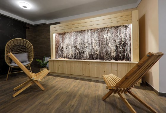 hotel *** - Hotel Łaziska *** MAŁOPOLSKA - Usługi - zdjęcie 1