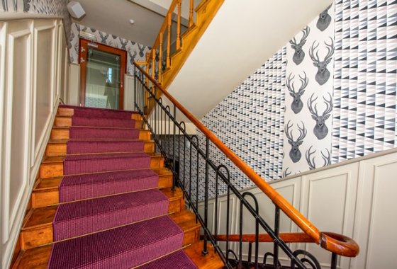 hotel *** - Hotel Kazimierz I - Usługi - zdjęcie 1