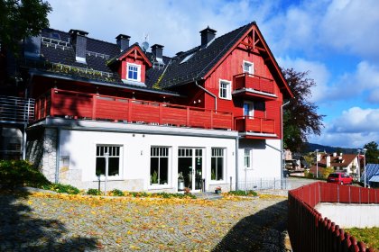 hotel *** - Hotel*** Willa Odkrywców - zdjęcie 28