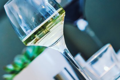 hotel *** - Hotel*** Willa Odkrywców - zdjęcie 27