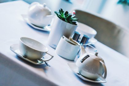 hotel *** - Hotel*** Willa Odkrywców - zdjęcie 30