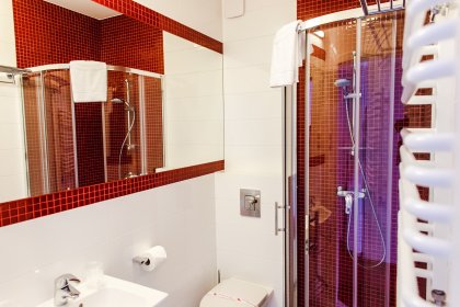 hotel *** - Hotel*** Willa Odkrywców - zdjęcie 48