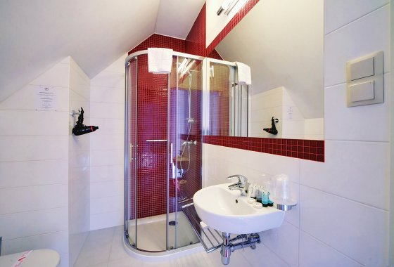hotel *** - Hotel*** Willa Odkrywców - Pokoje - zdjęcie 14