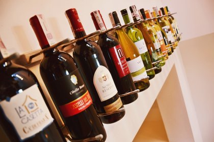 hotel *** - Hotel*** Willa Odkrywców - zdjęcie 73