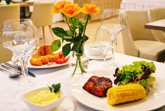 hotel *** - Hotel*** Willa Odkrywców - Usługi - zdjęcie 16