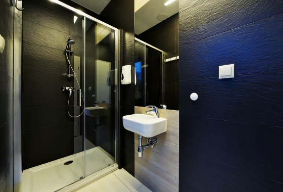 hotel *** - Hotel*** Willa Odkrywców - Usługi - zdjęcie 13