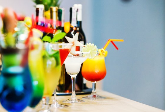 hotel *** - Hotel*** Willa Odkrywców - Usługi - zdjęcie 6