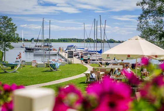 inny - Stare Sady Port & Chillout - Usługi - zdjęcie 6