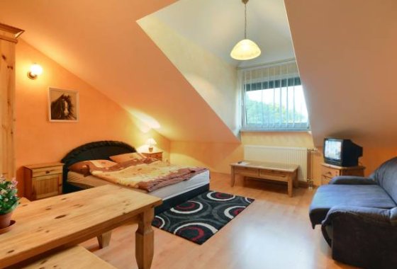 hotel - Hotelik pod Akacjami - Pokoje - zdjęcie 3