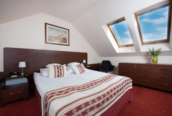 Hotel Żubrówka - łóżko dwuosobowe - SaleBiznesowe