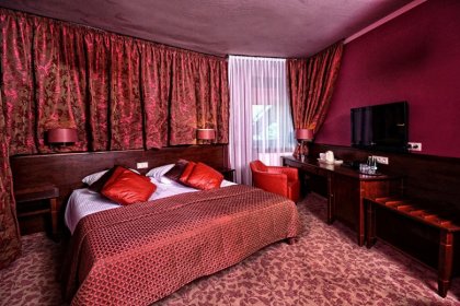 Hotel Żubrówka - łóżko małżeńskie - SaleBiznesowe