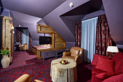 Hotel Żubrówka - pokój - SaleBiznesowe