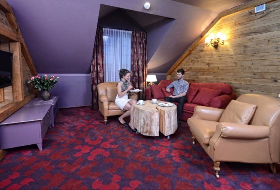 Hotel Żubrówka - strefa wypoczynku - SaleBiznesowe