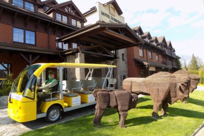 hotel **** - Hotel Żubrówka - zdjęcie 29