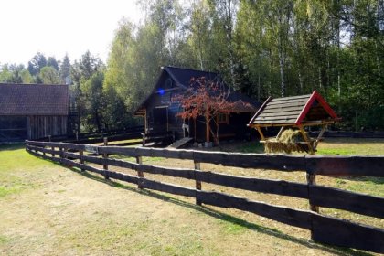 hotel *** - Bajkowy Zakątek - zdjęcie 6
