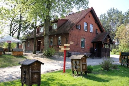 hotel *** - Bajkowy Zakątek - zdjęcie 1
