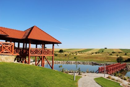 pałac - Pałac w Konarach - zdjęcie 18
