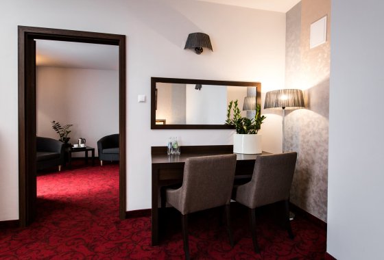 hotel *** - Hotel Focus Centrum Konferencyjne w Lublinie - Pokoje - zdjęcie 4