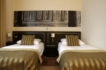 hotel *** - Hotel Safir - zdjęcie 30