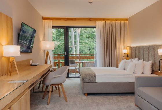 hotel ***** - Platinum Mountain Hotel & SPA - Pokoje - zdjęcie 2