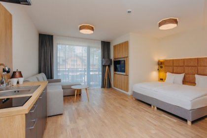 hotel ***** - Platinum Mountain Hotel & SPA - zdjęcie 13