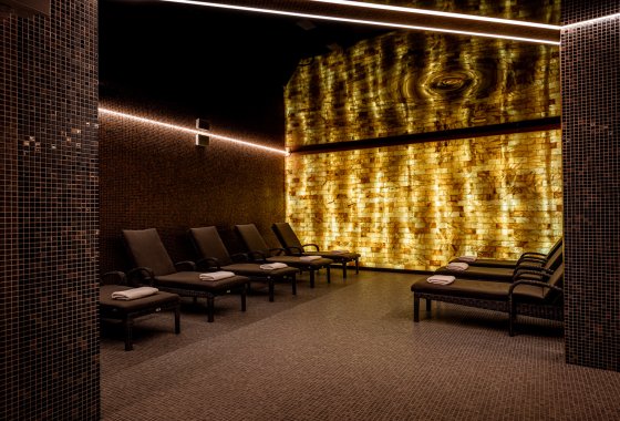 hotel ***** - Platinum Mountain Hotel & SPA - Usługi - zdjęcie 3