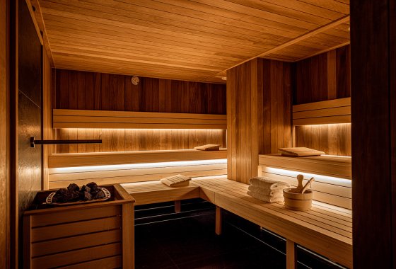 hotel ***** - Platinum Mountain Hotel & SPA - Usługi - zdjęcie 2