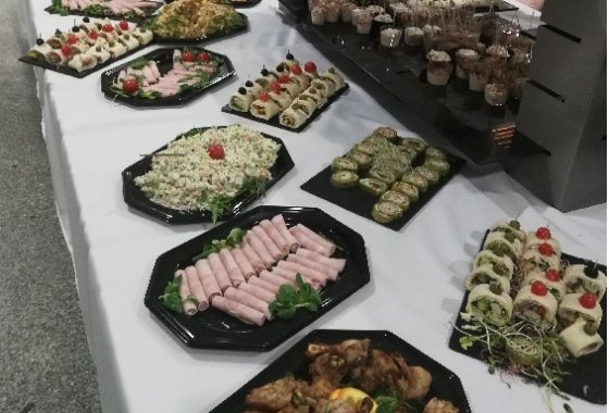 obiekt konferencyjny - Centrum Konferencyjno-Wystawiennicze Instytutu Badawczego Leśnictwa - Usługi - zdjęcie 2