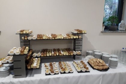 obiekt konferencyjny - Centrum Konferencyjno-Wystawiennicze Instytutu Badawczego Leśnictwa - zdjęcie 11