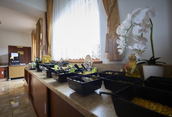 obiekt konferencyjny - Limba Resort Premium - Usługi - zdjęcie 11