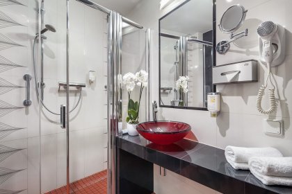 hotel **** - Best Western Plus Hotel Arkon Park **** - zdjęcie 8