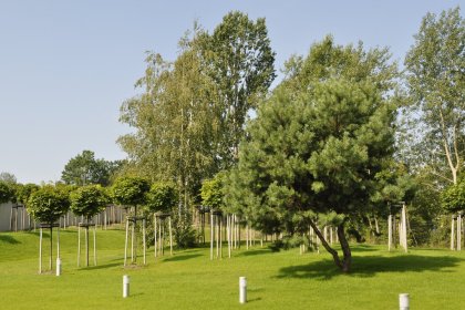 obiekt konferencyjny - Centrum Biznesu Fundacji Rozwoju Śląska - zdjęcie 3
