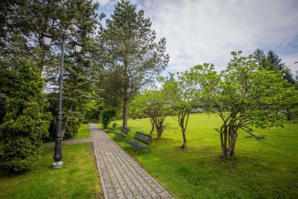 hotel - Srebrny Bucznik Hotel & Restauracja - zdjęcie 12