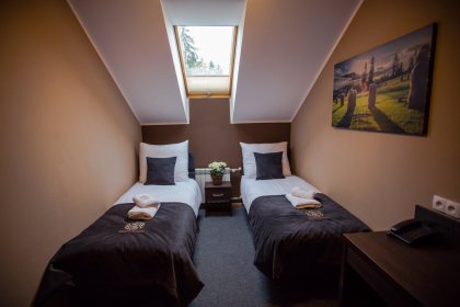 hotel - Srebrny Bucznik Hotel & Restauracja - zdjęcie 25