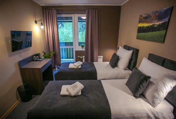 hotel - Srebrny Bucznik Hotel & Restauracja - Pokoje - zdjęcie 3
