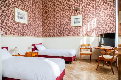 pałac - Pałac Ślężany Centrum Konferencyjne - zdjęcie 10