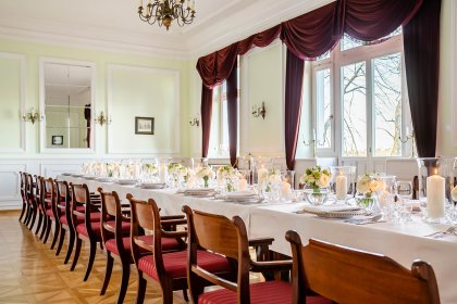 pałac - Pałac Ślężany Centrum Konferencyjne - zdjęcie 6