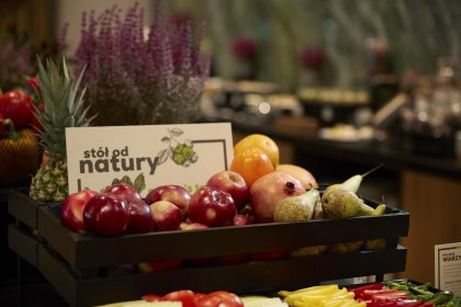 hotel **** - Q Hotel Plus Wrocław Bielany - zdjęcie 13