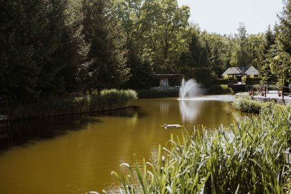 hotel *** - Hotel Trylogia - zdjęcie 2