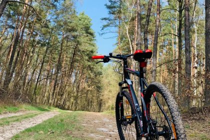 obiekt konferencyjny - Julinek Park - zdjęcie 26