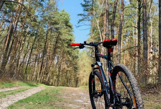 obiekt konferencyjny - Julinek Park - Usługi - zdjęcie 8