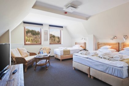 hotel **** - Hotel Żywiecki**** Medical Spa & Sport - zdjęcie 9