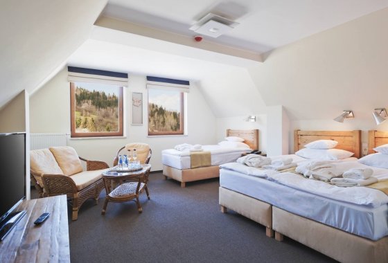 hotel **** - Hotel Żywiecki**** Medical Spa & Sport - Pokoje - zdjęcie 5