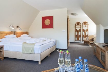hotel **** - Hotel Żywiecki**** Medical Spa & Sport - zdjęcie 10