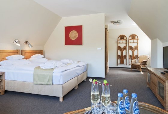 hotel **** - Hotel Żywiecki**** Medical Spa & Sport - Pokoje - zdjęcie 6