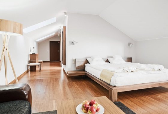 hotel **** - Hotel Żywiecki**** Medical Spa & Sport - Pokoje - zdjęcie 2